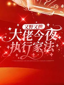 《又野又撩，大佬今夜执行家法》小说章节在线试读，《又野又撩，大佬今夜执行家法》最新章节目录