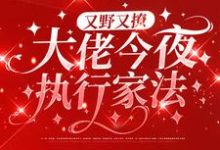 叶初初陆砚屿的完整故事在哪里？读又野又撩，大佬今夜执行家法小说-艾米文学