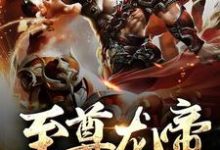 至尊龙帝免费阅读,至尊龙帝章节目录-艾米文学