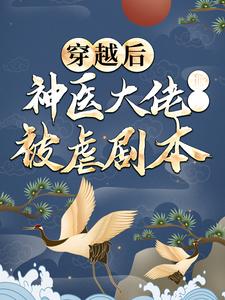 穿越后，神医大佬撕了被虐剧本 梅闻儿夜宸风小说在线章节目录阅读最新章节