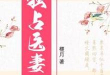 完结版《独占医妻》章节目录在线阅读-艾米文学