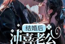 在线搜索季书韫花榆的完整小说，免费阅读结婚后，冲喜老公成教授，还死盯我！-艾米文学