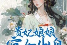 贵妃娘娘宫女出身，皇上偏宠着小说有没有完结版在线？-艾米文学