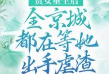 贵女重生后，全京城都在等她出手虐渣免费阅读，贵女重生后，全京城都在等她出手虐渣章节目录-艾米文学
