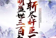 免费看斩尽奸臣后，大明盛世三百年小说的网站有哪些？-艾米文学