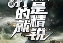 主角叫张合的小说在哪阅读-艾米文学
