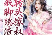 《开局我脚踹渣夫，转头嫁权臣》小说主角杨昭墨君然章节章节免费在线阅读-艾米文学