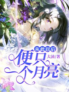 小说《从此以后便只一个月亮》在线章节阅读