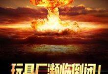 主角陆枫小说完结版在线阅读，玩具厂濒临倒闭！换军工芯起死回生免费看-艾米文学