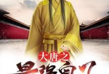 小说《大唐之最强皇子》章节免费阅读-艾米文学