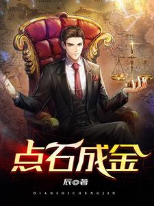 点石成金小说阅读，点石成金完结版