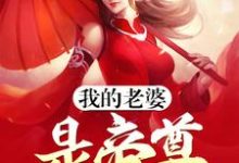 我的老婆是帝尊小说，我的老婆是帝尊章节在线阅读-艾米文学