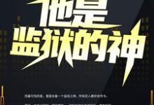 李君小说叫什么（他是监狱的神免费阅读）-艾米文学