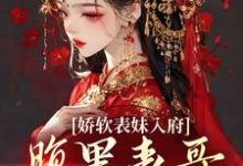 男女主人公沈云婉魏寒洲小说娇软表妹入府：腹黑表哥沦陷了章节免费阅读-艾米文学