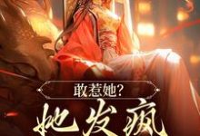 敢惹她？她发疯踏平侯府！这本小说怎么样？免费在线阅读试试-艾米文学