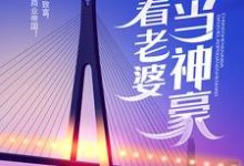 求重生奶爸，带着老婆当神豪小说的全文免费阅读链接-艾米文学