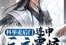 科举走后门,连中三元震惊无数学子小说无弹窗阅读的网站推荐-艾米文学