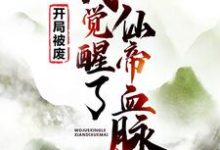 完结版《开局被废,我觉醒了仙帝血脉》章节阅读-艾米文学