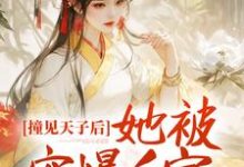 撞见天子后，她被宠爆后宫小说的最新章节在哪里更新？免费追踪阅读-艾米文学