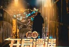 完结版《都市:开局遭遇中年危机》章节阅读-艾米文学