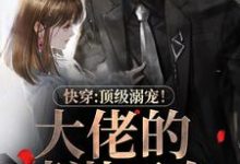 小说《快穿：顶级溺宠！大佬的蓄谋已久》章节阅读-艾米文学