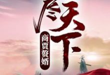 商贾赘婿，吃尽天下！（苏牧沈云初）在线免费阅读-艾米文学