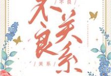 不良关系小说完结版章节免费阅读-艾米文学