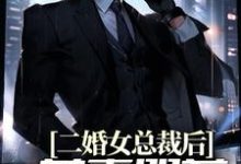 完结版《二婚女总裁后,前妻哭着求复合》章节阅读-艾米文学