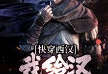 《快穿西汉，我给汉武帝剧透》小说主角陆鸣章节章节免费在线阅读-艾米文学