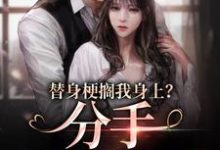 替身梗搁我身上？分手，姐闪婚了（温乔沈渡）在线免费阅读-艾米文学