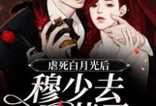 虐死白月光后，穆少去买药了鸥小檬穆北森小说在线章节免费阅读-艾米文学