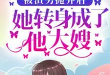 被渣男抛弃后，她转身成了他大嫂最新章节，被渣男抛弃后，她转身成了他大嫂免费阅读-艾米文学