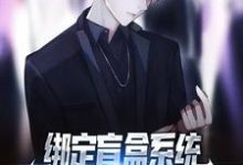 小说《绑定盲盒系统,穷屌丝也能变首富》章节免费阅读-艾米文学