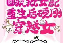 小说《惊!疯批女配重生后硬刚穿越女》在线章节阅读-艾米文学