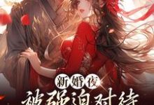 新婚夜被强迫对待,这叫不近女色?(谢临珩虞听晚)在线免费阅读-艾米文学