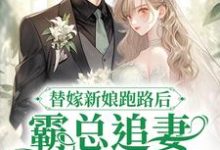 男女主人公 商渺盛聿小说替嫁新娘跑路后,霸总追妻火葬场了章节免费阅读-艾米文学