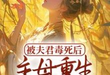 求推荐可以免费阅读被夫君毒死后，主母重生杀疯了小说的网站-艾米文学