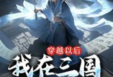 张成贾诩的故事在哪本书里？免费阅读穿越以后，我在三国呼风唤雨-艾米文学