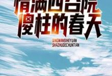 求何雨柱傻柱小说免费资源-艾米文学