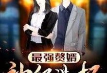 主人公季枫苏钰小说最强赘婿:神级选择在线章节阅读-艾米文学