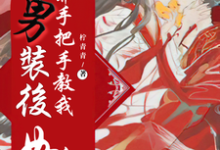 女扮男装后，王爷手把手教我如何撩他这本小说怎么样？免费在线阅读试试-艾米文学