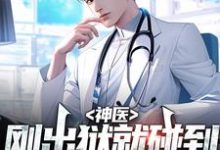 已完结小说《神医:刚出狱就碰到妻子和人约会》章节免费阅读-艾米文学