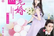 已完结小说《盛世宠婚》章节免费阅读-艾米文学
