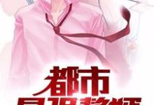 已完结小说《都市最强赘婿》章节在线阅读-艾米文学