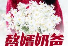 赘婿奶爸小说的无弹窗阅读体验,寻找免费阅读网站-艾米文学