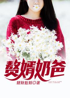 赘婿奶爸小说的无弹窗阅读体验，寻找免费阅读网站
