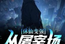 苏峻沈冰叶为主角的小说叫什么?免费看休仙变强,从屠宰场杀猪开始-艾米文学