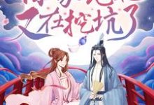 楚曦玉君夜宸是哪本书的主角？寻找摄政王，你家宠妃又在挖坑了！免费阅读-艾米文学