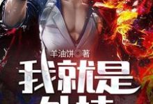 我就是外挂张凡秦梦瑶小说大结局免费试读-艾米文学
