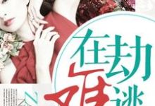 苏晓晓小说在线章节免费阅读（在劫难逃无弹窗无删减）-艾米文学